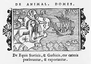 Exported: HORSES EXPORTED 1555