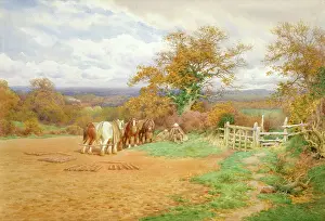 Harrowing: Horses feeding at the edge of a field