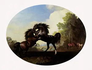1781: Horses Fighting, by Stubbs
