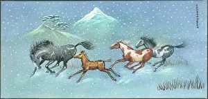 Samaraweera: Three horses and a foal galloping in the snow