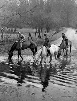 Barwick: HORSES AT A FORD