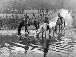 Barwick: HORSES AT A FORD