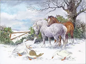 Two horses and geese in the snow