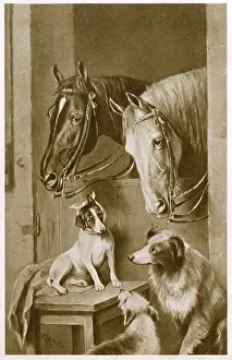 Mutts: Two Horses and a group of dogs