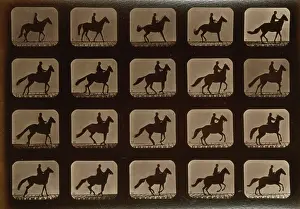 Consecutive: Horses. Irregular