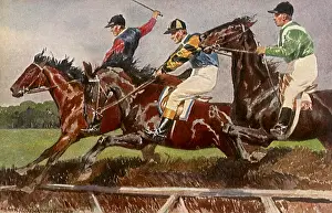 Hurdle: Three Horses Jump