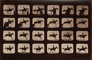 Hurdle: Horses. Leaping a 3 ft. 6 hurdle