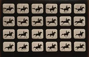 Hurdle: Horses. After leaping a 3 ft. 6 hurdle