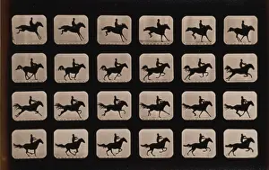 Hurdle: Horses. After leaping a 3 ft. 6 hurdle