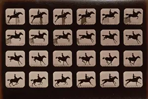 Hurdle: Horses. Leaping a 3 ft. 6 hurdle