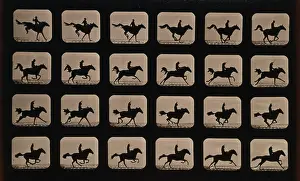 Hurdle: Horses. After leaping a 3 ft. 6 hurdle