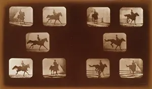 Phyrne: Horses. Leaping