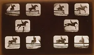 Phyrne: Horses. Leaping