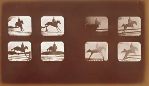 Phyrne: Horses. Leaping