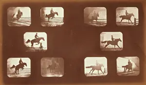 Phyrne: Horses. Leaping