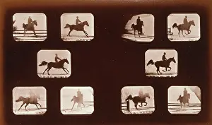 Phyrne: Horses. Leaping