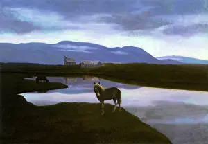 Equines: Horses on Marshy Plain