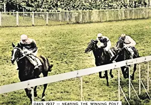 Epsom: Horses near the winning post, Epsom Oaks