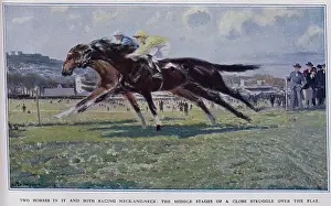 Racehorses: Horses Neck-and-Neck