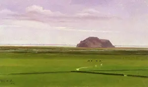 Interrupted: Horses on Plain