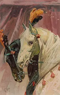 Tassles: HORSES WITH PLUMES 1906