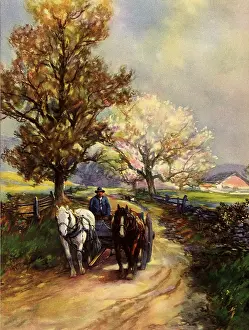 Barnyard: Horses pull Farmer and Wagon