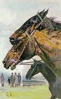 Racehorses: Three horses racing -- a close finish