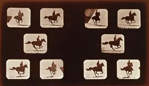 Phyrne: Horses. Running