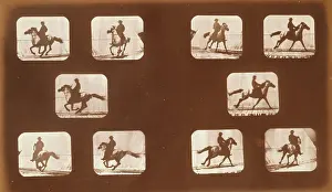 Mahomet: Horses. Running