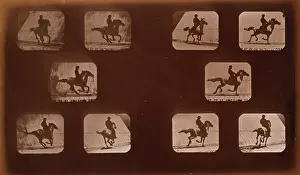 Mahomet: Horses. Running