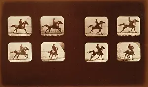 Mahomet: Horses. Running