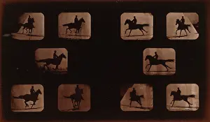 Phyrne: Horses. Running