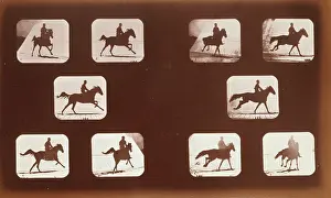 Phyrne: Horses. Running