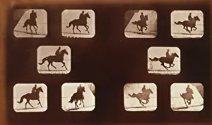Phyrne: Horses. Running