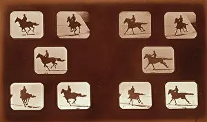 Phyrne: Horses. Running
