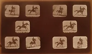 Mahomet: Horses. Running