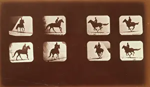 Phyrne: Horses. Running