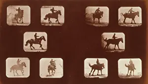 Mahomet: Horses. Running