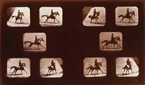 Mahomet: Horses. Running