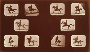 Mahomet: Horses. Running