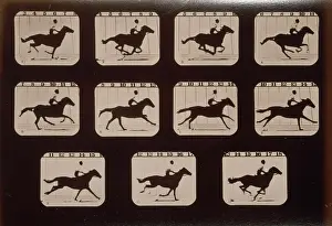Eighteen: Horses. Running