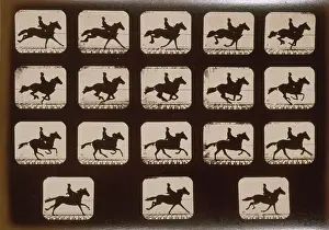Eighteen: Horses. Running