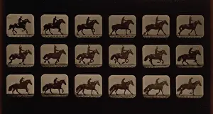 Eighteen: Horses. Running