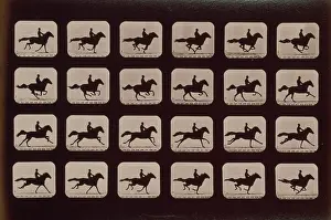 Consecutive: Horses. Running