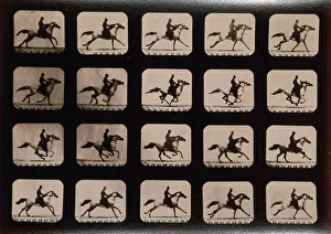 Consecutive: Horses. Running