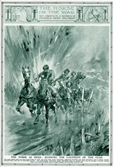 Gauntlet: Horses running the gauntlet of the guns, 1917