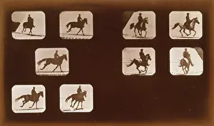 Phryne: Horses. Running - Horses. Running