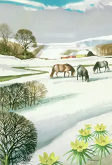 Aconite: Horses in the Snow