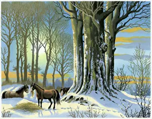 Snowscene: Horses in the snow eating hay