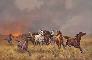 Spooked: Horses spooked by a forest fire